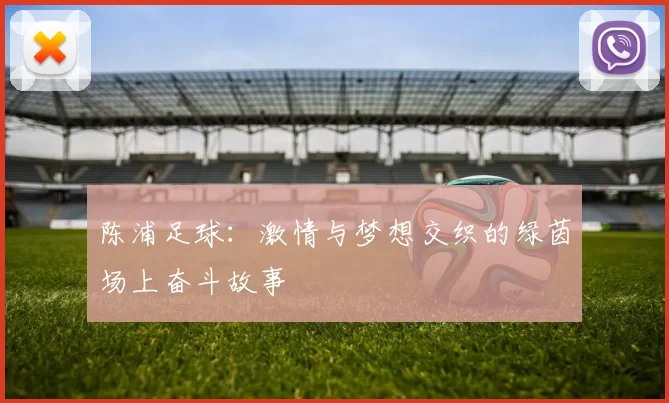 陈浦足球：激情与梦想交织的绿茵场上奋斗故事