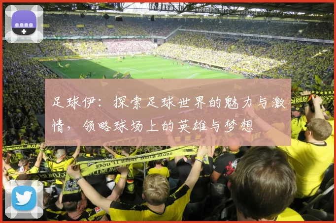 足球伊：探索足球世界的魅力与激情，领略球场上的英雄与梦想