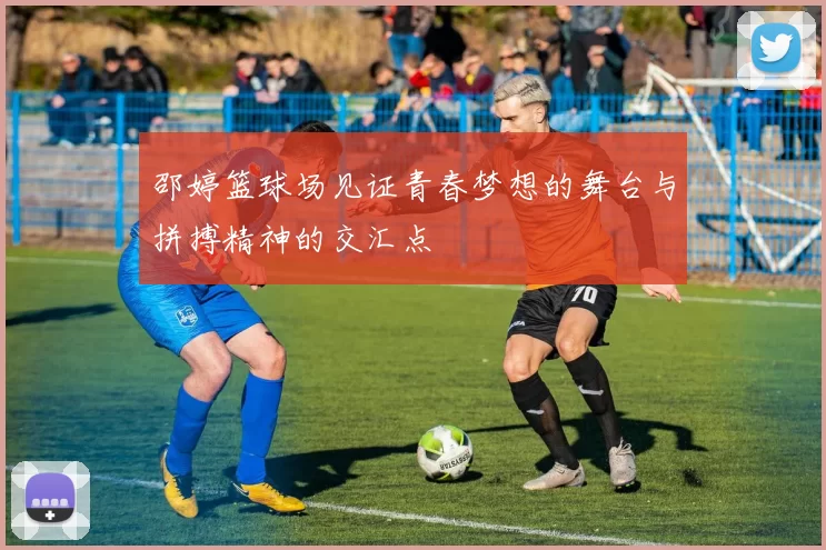 邵婷篮球场见证青春梦想的舞台与拼搏精神的交汇点